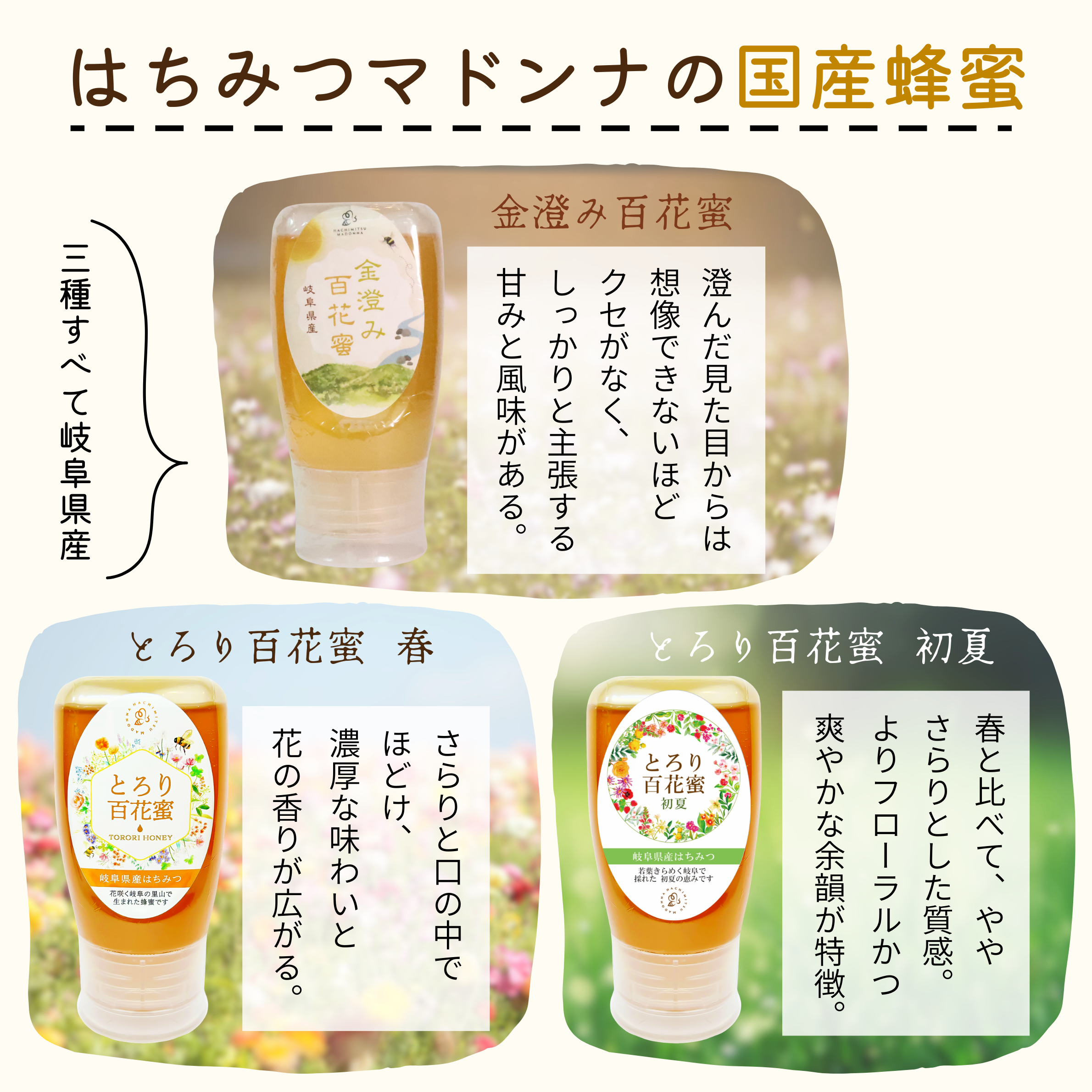 はちみつマドンナの国産蜂蜜 金澄み百花蜜・とろり百花蜜 春・とろり百花蜜 初夏の味わい比較